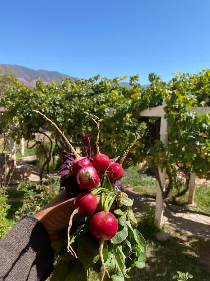 مبيت وإفطار El Convento De تيلكارا المظهر الخارجي الصورة