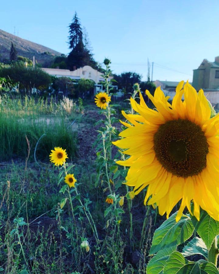 مبيت وإفطار El Convento De تيلكارا المظهر الخارجي الصورة